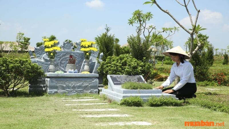 Tảo mộ là gì? Tảo mộ là một phong tục truyền thống của Việt Nam