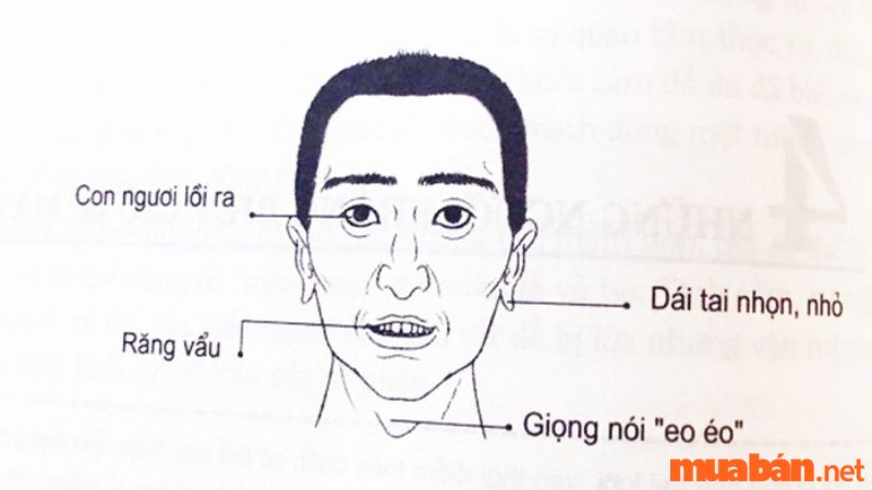 Tướng mặt đàn ông nhiều chuyện