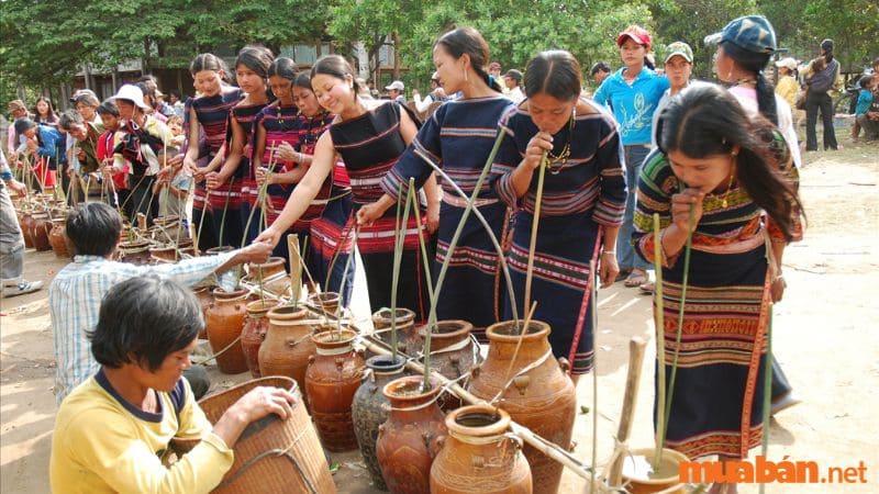 Người dân tộc sử dụng thân cây Triêng để uống rượu ghè