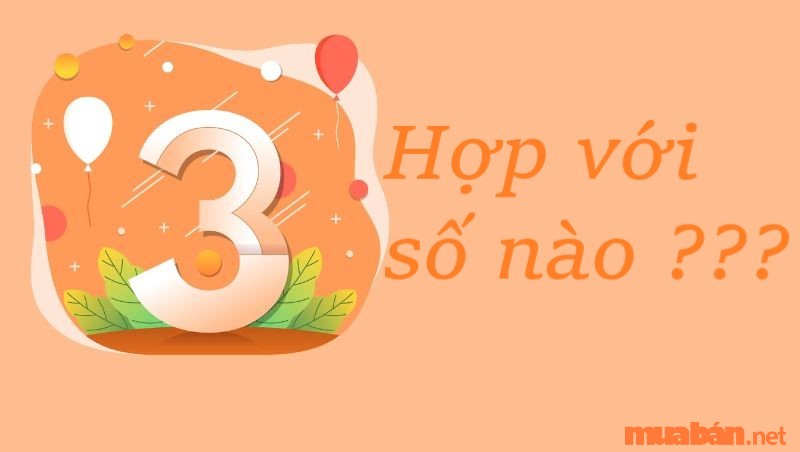 Người số 3 hợp với số nào nhất trong dãy số thần số học?