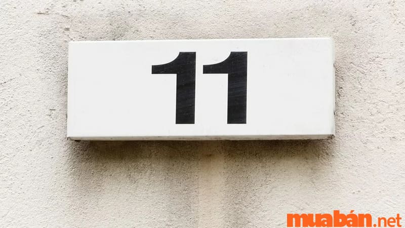 Thần số học số 11 nghề nghiệp thế nào phù hợp? Tìm hiểu thần số học số 11 làm nghề gì