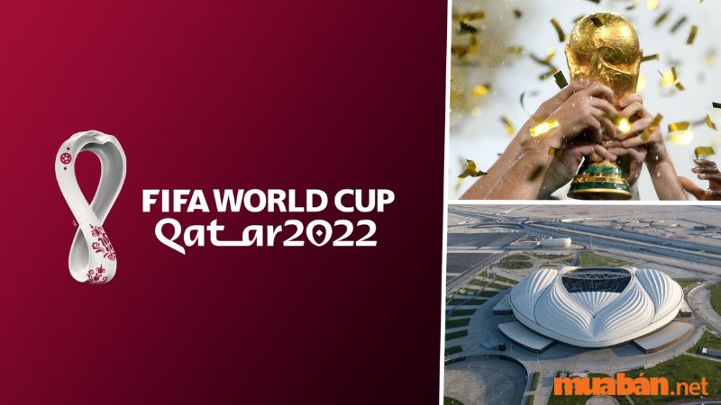 World cup 2022 diễn ra khi nào