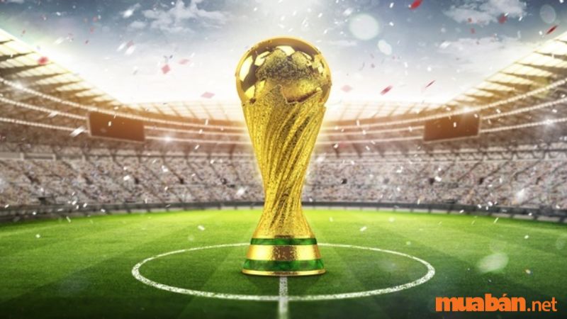 World cup 2022 tháng mấy