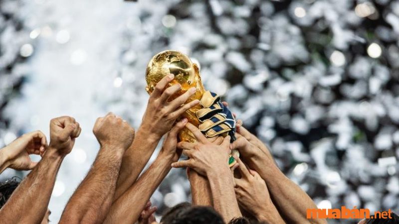 world cup 2022 bắt đầu khi nào