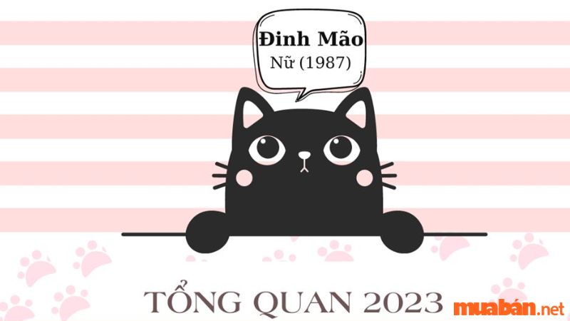 Tử vi tuổi Mão 1987 năm 2023 nữ mạng