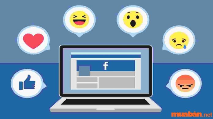 Cách bật chế độ công khai trên Facebook