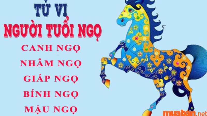 Dựa vào tuổi mệnh, tính cách của người tuổi Ngọ để chọn cây phong thủy phù hợp tuổi Ngọ hợp cây gì?