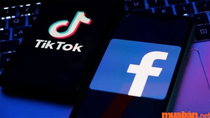 Cách liên kết TikTok với Facebook