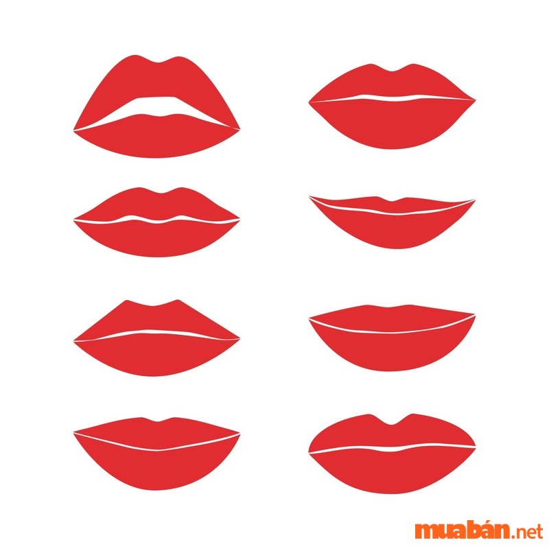 Nhân tướng học phụ nữ cho rằng những người phụ nữ có đôi môi dày thường là người rất tốt bụng và chu đáo