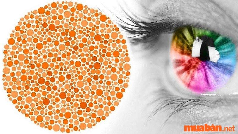 Màu cam ảnh hưởng thế nào với thị giác