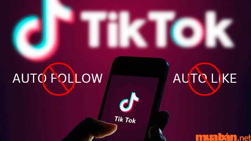 Cách khắc phục lỗi follow quá nhanh trên TikTok