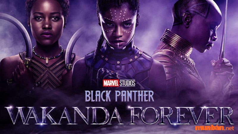 Black Panther hy sinh trong phần phim mới