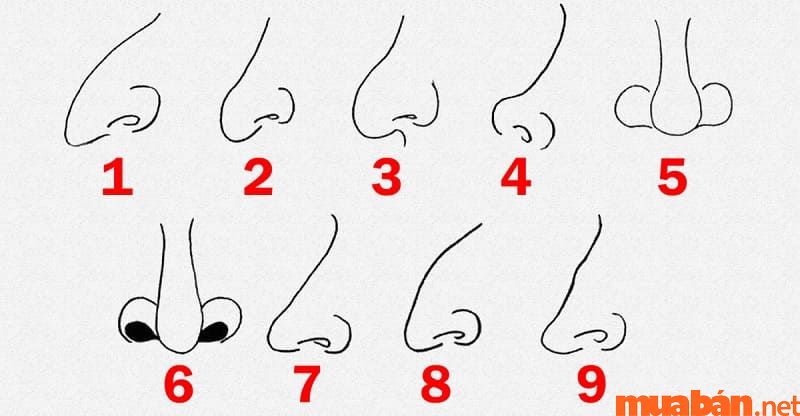Xem tướng mũi là dự đoán thông qua các đặc điểm, hình dáng của mũi.