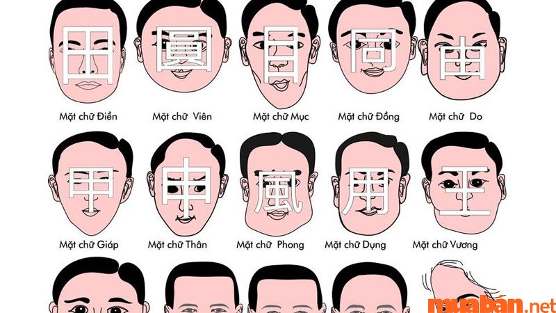 8 khuôn mặt thường gặp nói lên tính cách  nhân tướng học nhân sự