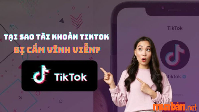 Tại sao tài khoản TikTok bị cấm vĩnh viễn và cách khắc phục lỗi này