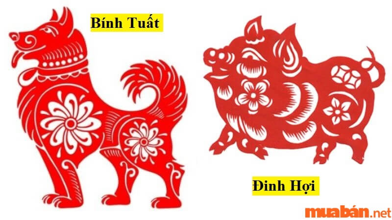 Thuong Tho snail was born in the year of the Dog or Dinh Hoi.
