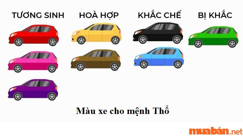 The car color is suitable for Thuong Tho snail.