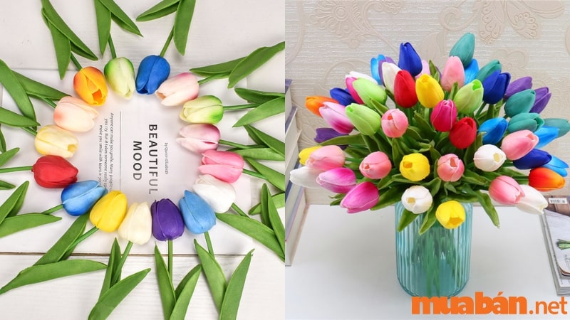Ý nghĩa hoa tulip cũng đa dạng như màu sắc của nó