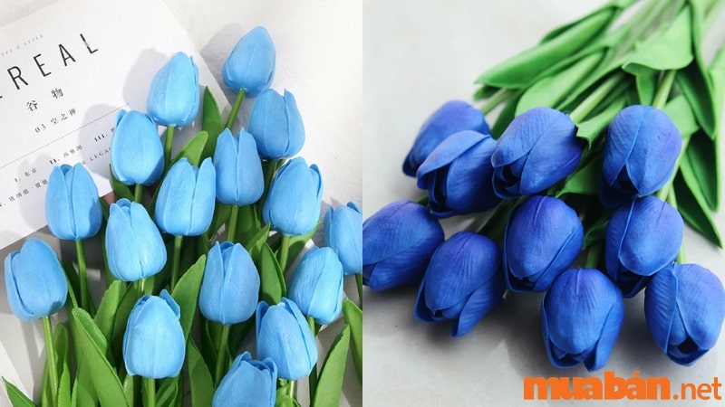 Hoa tulip xanh dương mang đến sự hòa hợp, trung thành
