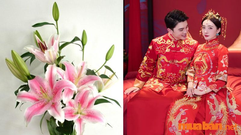 Trong văn hóa Trung Quốc, ý nghĩa hoa ly sẽ là "bách niên vạn hợp"
