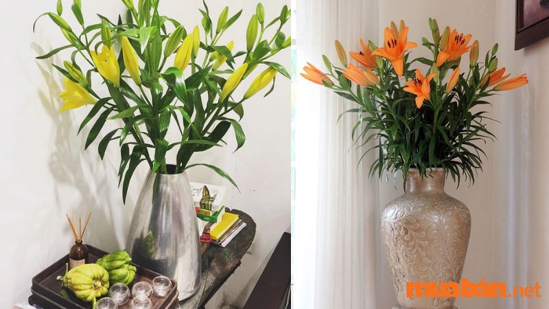 Hoa ly màu vàng sẽ được dùng trong việc thờ cúng; hoa ly màu cam dùng trang trí phòng khách