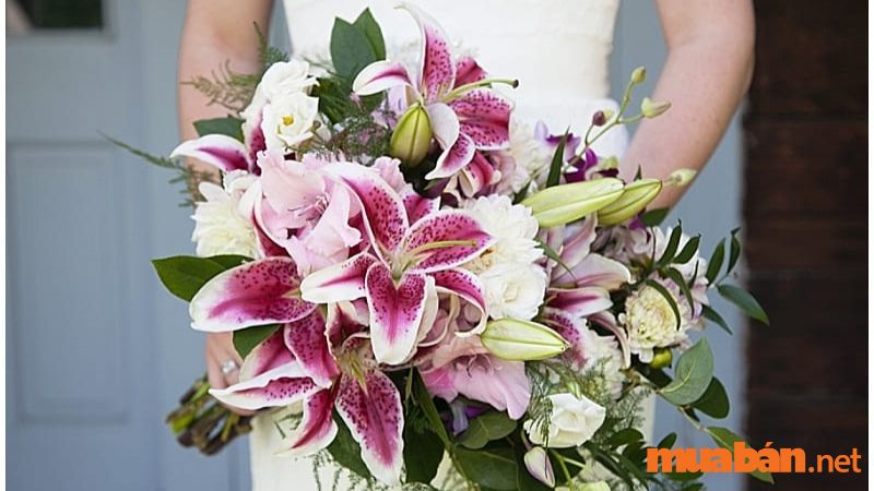 Hoa lily có thể được tặng trong ngày kỷ niệm, đám cưới hoặc để chúc mừng một người nào đó