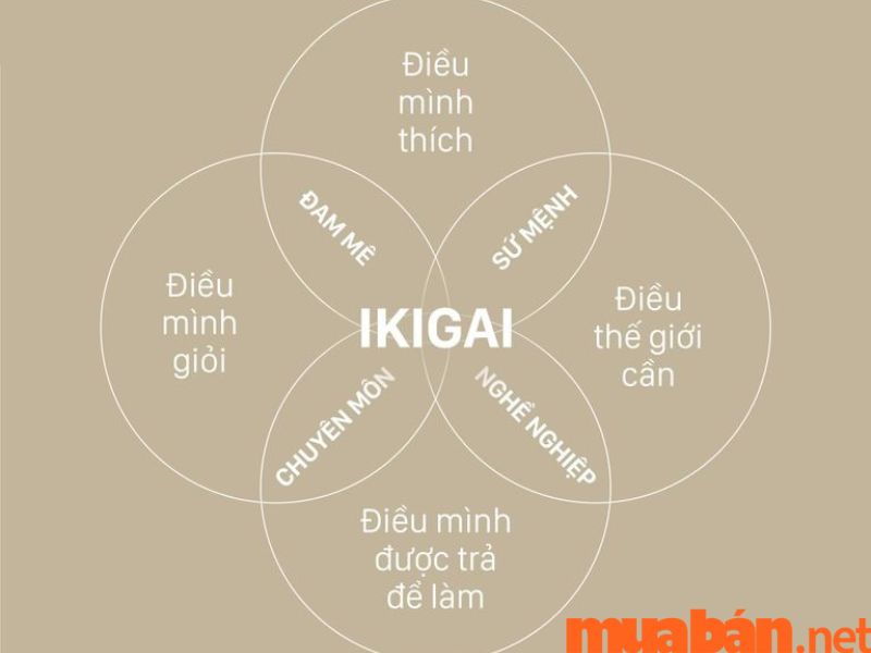 Triết lý ikigai là gì Tại sao người Nhật dùng Ikigai để sống hạnh phúc hơn   MarketingTrips
