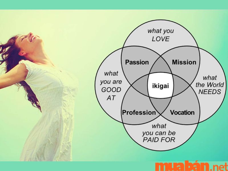 Ikigai là gì và cách nghiên cứu giúp xác định Ikigai