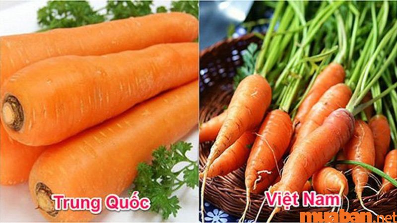 Cách phân biệt giữa cà rốt Việt Nam và cà rốt từ Trung Quốc