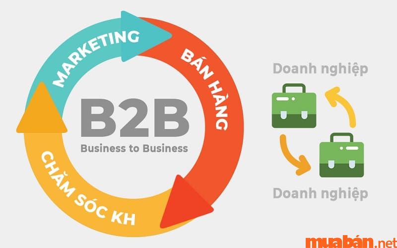 B2B nghĩa là Business To Business trong tiếng Anh