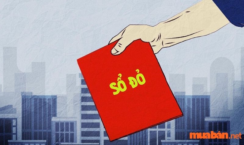 Đất TMD là gì? Những Quy Định Và Điều Kiện Quy Hoạch Quan Trọng Về Sử Dụng Đất 8 Đất TMD có được cấp sổ đỏ không?
