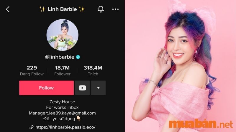 Top 2 TikToker Việt Nam - Linh Barbie