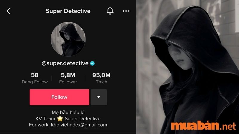 Top 48 TikToker Việt Nam - Super Detective