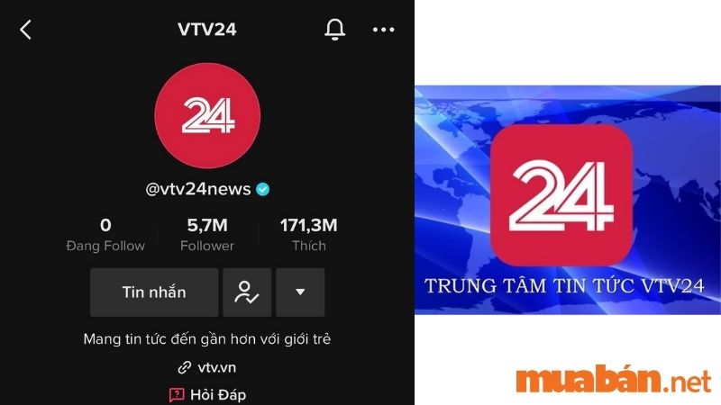 Top 50 TikToker Việt Nam - VTV24