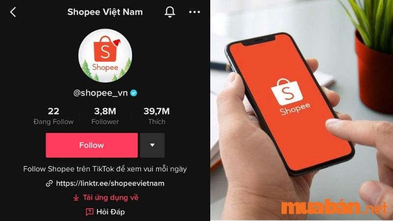 Top 79 TikToker Việt Nam - Shopee Việt Nam