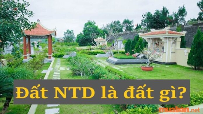 NTD là đất gì? Giải đáp quy định mới nhất về quyền sử dụng đất NTD