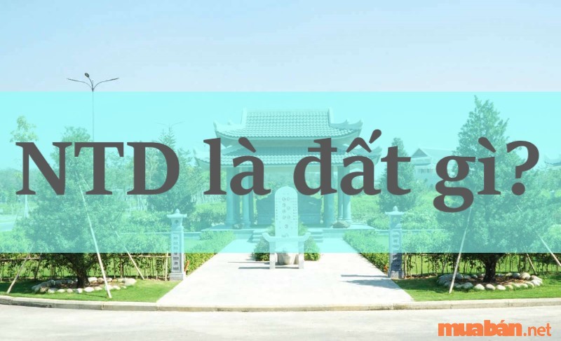 NTD là đất gì? Giải đáp quy định mới nhất về quyền sử dụng đất NTD 1 NTD là đất gì? Loại đất này thuộc quyền quản lý của ai?