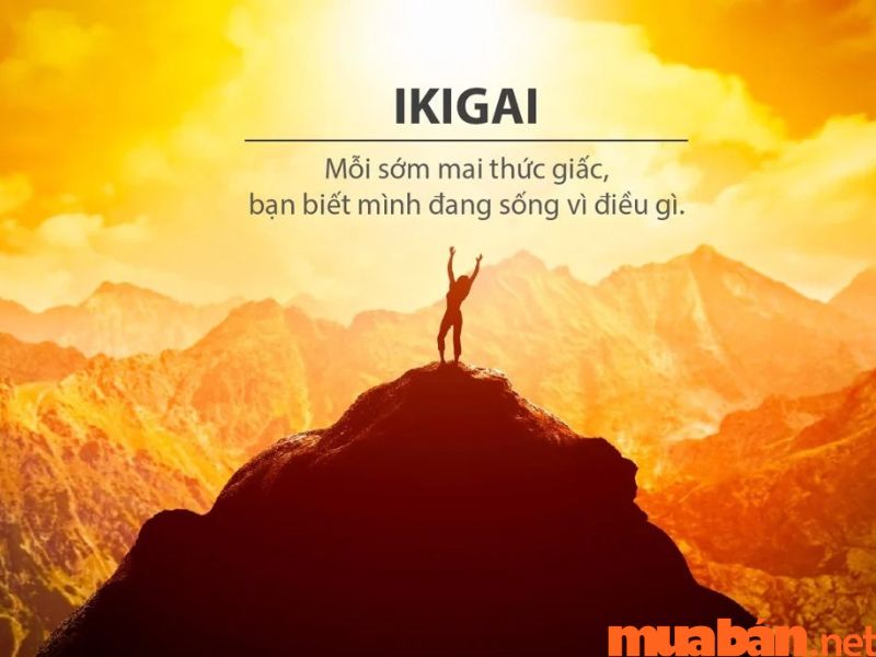 Ikigai theo tiếng Việt được hiểu là "lý do tồn tại"