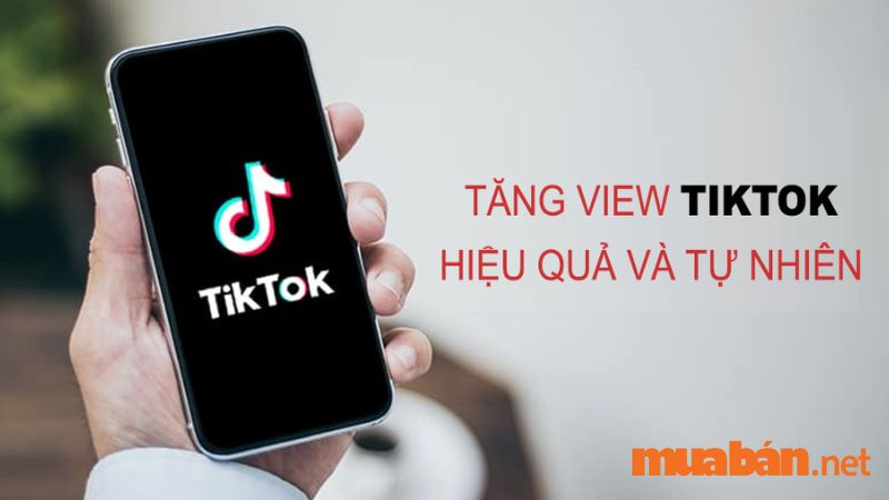 Video nhiều view là mong muốn của mọi người chơi TikTok