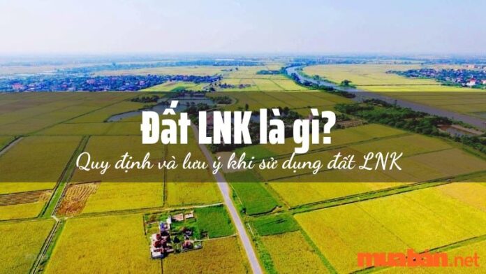 Đất LNK là gì