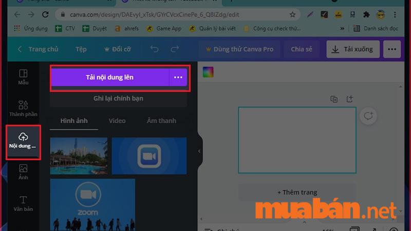 Hướng dẫn sử dụng icon miễn phí trên Canva  Downloadvn