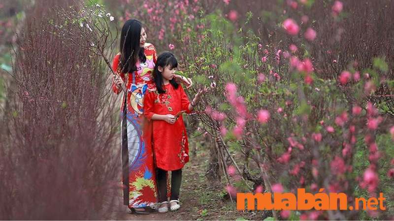 Vườn đào Nhật Tân là địa điểm chụp ảnh Tết cho bé đẹp
