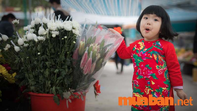 Chụp ảnh Tết cho bé ở chợ hoa Hồ Thị Kỷ 

