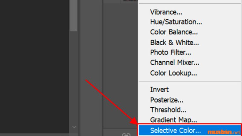 Nhấn chọn "Selective Color" 
