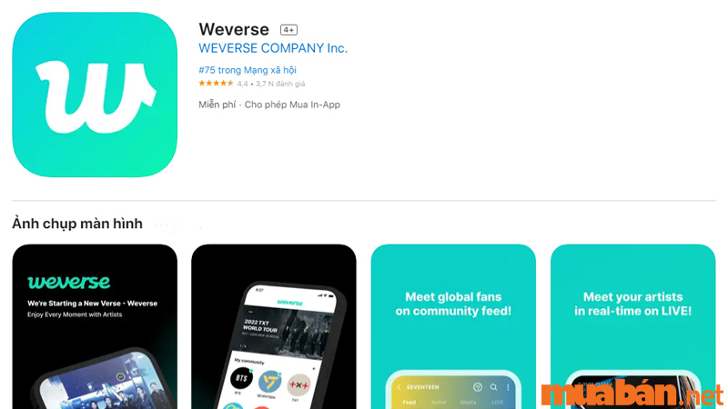 Tải app Weverse trên AppStore và CH PLAY