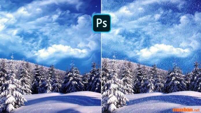 Cách chỉnh màu ảnh trong phần mềm Adobe Photoshop