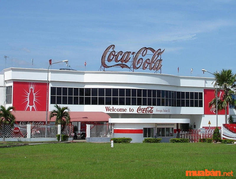 Yêu cầu của Coca Cola cho các bên trung gian marketing là gì?