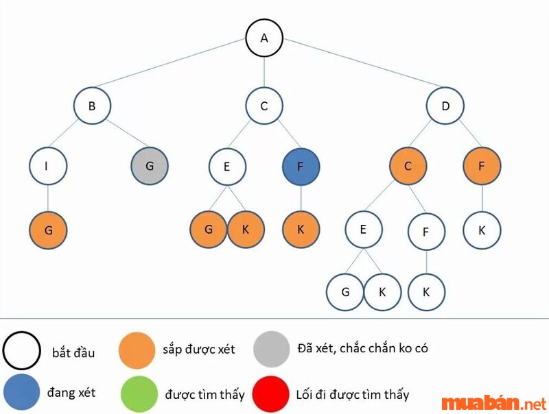 Thuật toán tìm kiếm