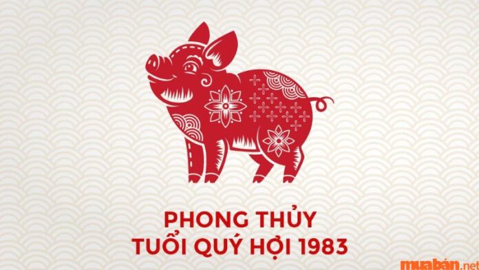 Xem tuổi xông nhà cho tuổi Quý Hợi 1983