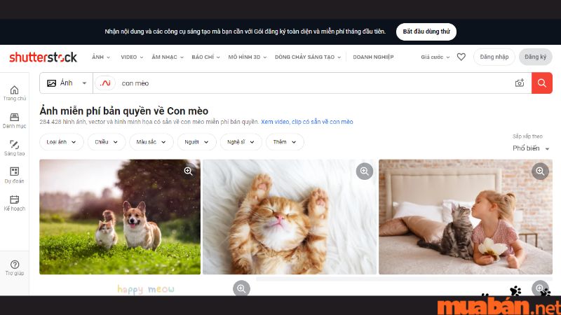 Tính năng tìm kiếm hình ảnh của Shutterstock
